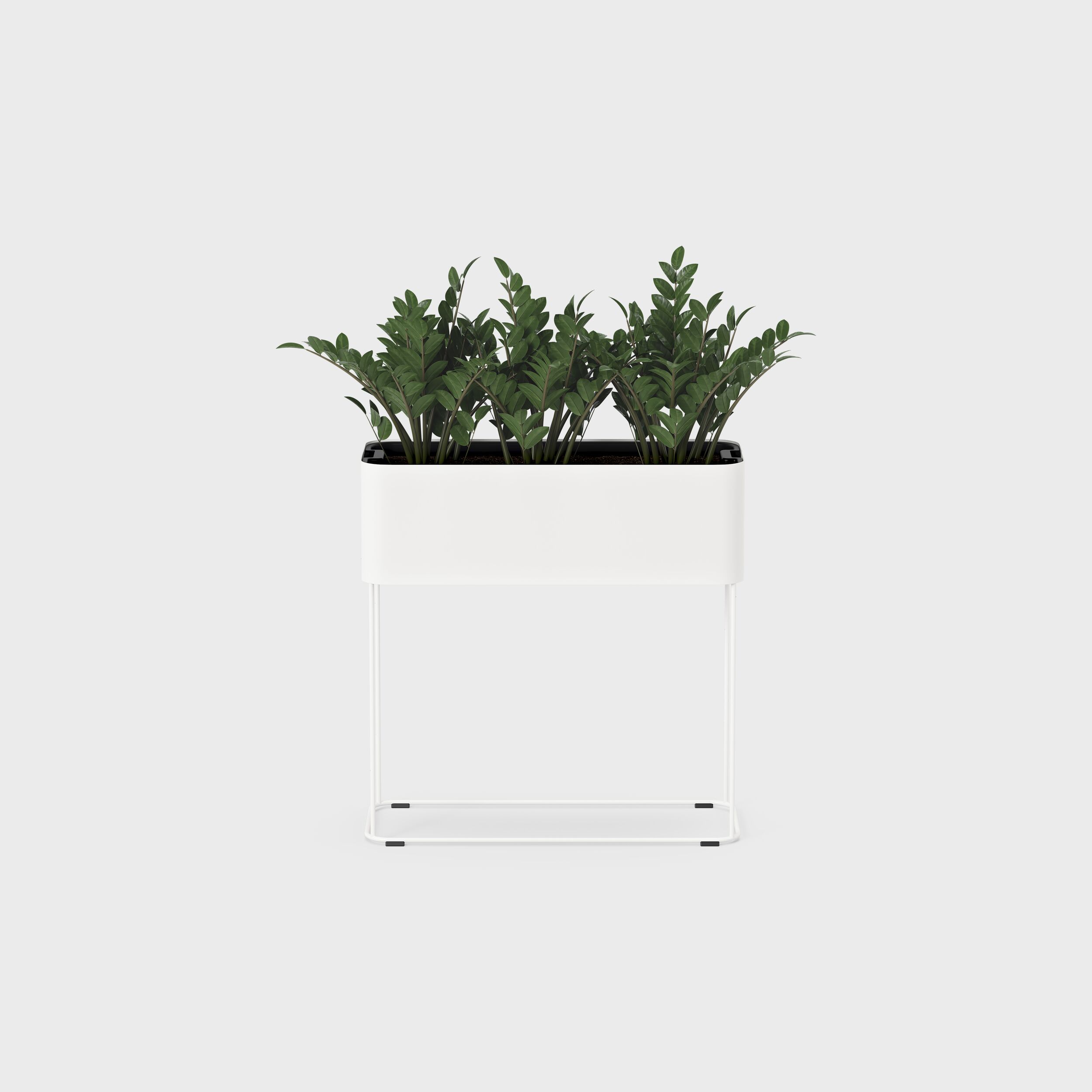 kin-product-grow-growfb79-30238.jpg